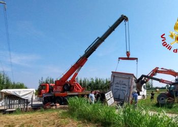 Camion carico di bovini in bilico lungo la sede stradale: arrivano i vigili del fuoco