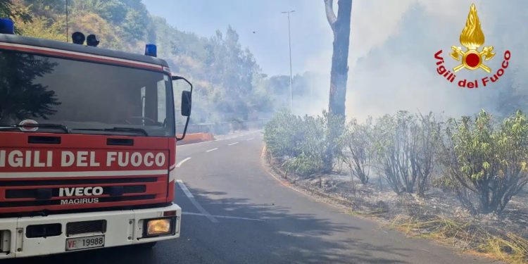 Incendio a Roma: fiamme vicine alle case a Monte Mario. Evacuate 6 palazzine e sede Rai