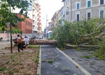 Maltempo flagella il Nord Italia. Musumeci: Aziende si assicurino. Nel 2023 record 6 mld danni