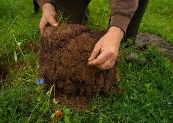 Allarme degli scienziati: “Pesticidi sono cancerogeni quanto il fumo”
