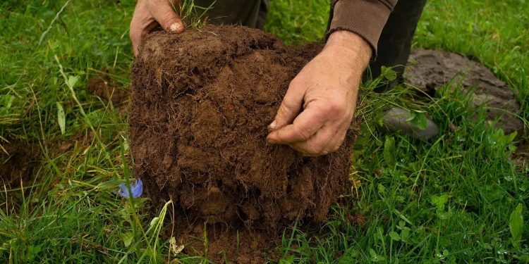 Allarme degli scienziati: “Pesticidi sono cancerogeni quanto il fumo”