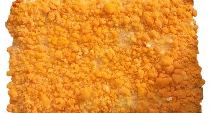 Dallo scarto al piatto: ecco come i rifiuti diventano cibo grazie alla muffa