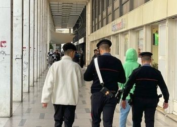 Al setaccio le zone “calde” di Mantova: controlli dei carabinieri