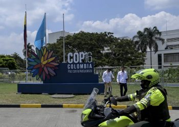 Al via lunedì in Colombia la COP16: si temono violenze