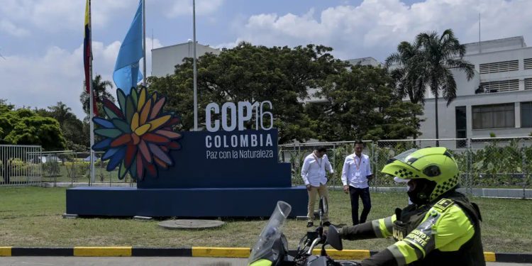 Al via lunedì in Colombia la COP16: si temono violenze