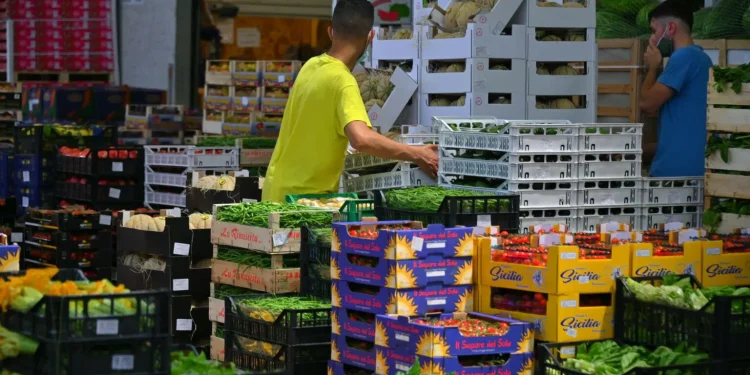 Boom prezzi ortofrutta: il ‘carrello della spesa’ in un mese passa da +1% a +2,2%
