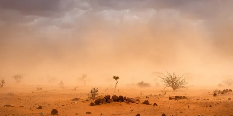 Clima, 2024 è già l’anno più caldo si sempre: sarà superato limite +1,5°