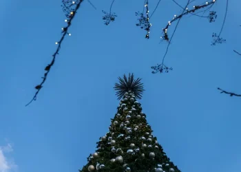 L’Ue punta sul Natale green: albero in vaso o a nolo, cibo locale e confezioni in tessuto