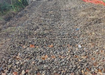 Sopresa: da Bozzolo a Mantova sono spariti i binari della linea ferroviaria