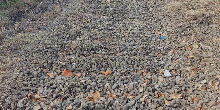 Sopresa: da Bozzolo a Mantova sono spariti i binari della linea ferroviaria