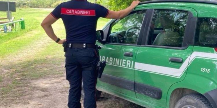 Col furgone carico di rifiuti speciali, beccato dai Forestali e denunciato