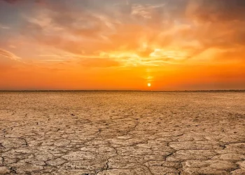 Ondate di caldo, inondazioni e siccità: riscaldamento globale causa dei disastri naturali nel 2024