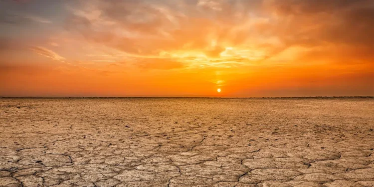 Ondate di caldo, inondazioni e siccità: riscaldamento globale causa dei disastri naturali nel 2024