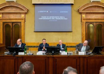 Un Piano contro proliferazione del granchio blu: dal governo 10 milioni in due anni