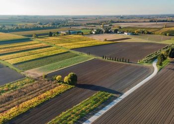 L’Ue lancia la sua Visione per l’Agricoltura. Fitto: “Sicurezza alimentare non negoziabile”
