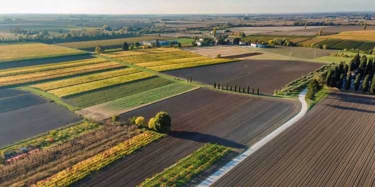 L’Ue lancia la sua Visione per l’Agricoltura. Fitto: “Sicurezza alimentare non negoziabile”