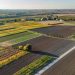L’Ue lancia la sua Visione per l’Agricoltura. Fitto: “Sicurezza alimentare non negoziabile”