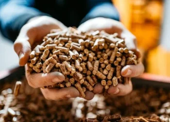 Calano prezzi legna e pellet: risparmi del 40-50% su caldaie a gas o a gasolio