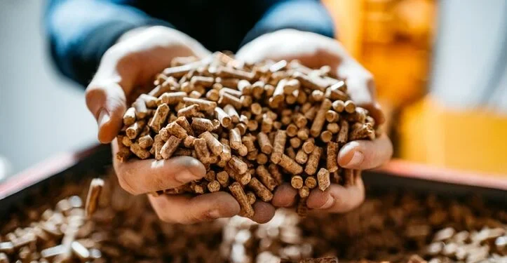 Calano prezzi legna e pellet: risparmi del 40-50% su caldaie a gas o a gasolio