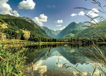 Cop16, a Roma riprende braccio di ferro finanziario su biodiversità