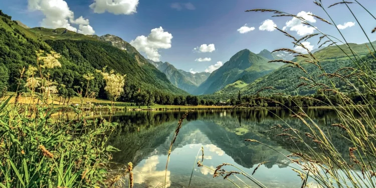 Cop16, a Roma riprende braccio di ferro finanziario su biodiversità