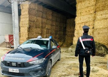 Travolto da una rotoballa: muore operaio agricolo di 27 anni