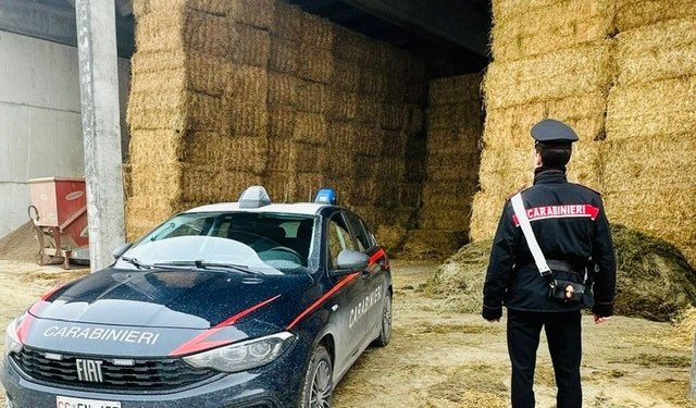 Travolto da una rotoballa: muore operaio agricolo di 27 anni