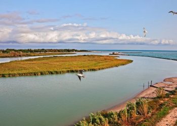 Il 2 febbraio è la Giornata mondiale delle zone umide
