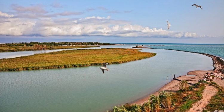 Il 2 febbraio è la Giornata mondiale delle zone umide