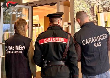 Illeciti in tema di farmaco-sorveglianza: sanzioni per due aziende agricole