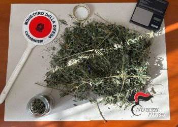 Durante la lite chiamano i Cc che però in casa trovano due etti di marijuana