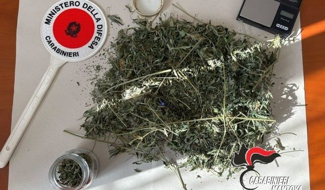 Durante la lite chiamano i Cc che però in casa trovano due etti di marijuana