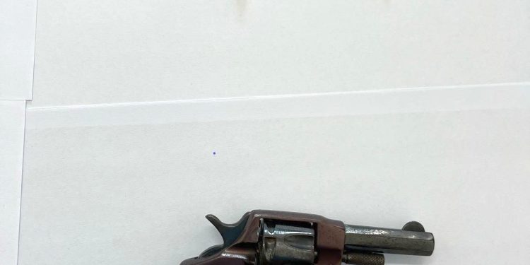 Omicidio Capuano, sequestrata a Rosa Capuano una pistola compatibile con l’omicidio