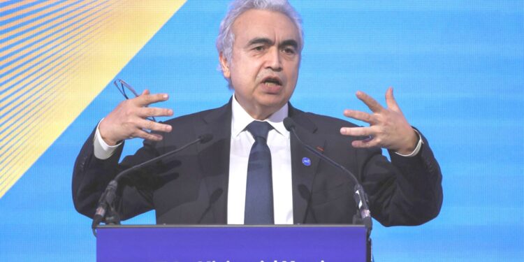 Ia, sfida per sicurezza energetica: entro 2030 raddoppia domanda elettricità. Aumentano emissioni