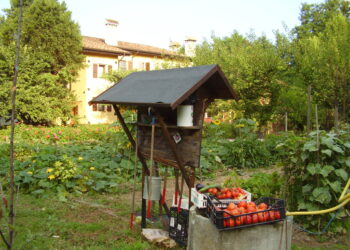 Maltempo, Terranostra Mantova: agriturismo in testacoda con disdette dell’ultimo minuto