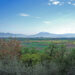 Boom di richieste negli agriturismi e nelle strutture ricettive dell’Alto Mantovano