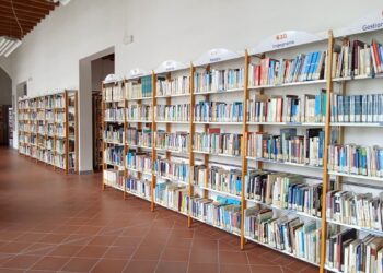 “Un anno di libri” al MuVi di Viadana