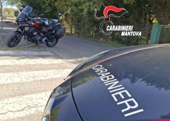 Lavoratori in nero: scattano denuncia e sanzioni per la titolare di un’azienda