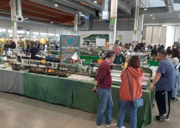 A Gonzaga migliaia di visitatori in Millenaria per Esotika Pet Show e Mondo Bonsai