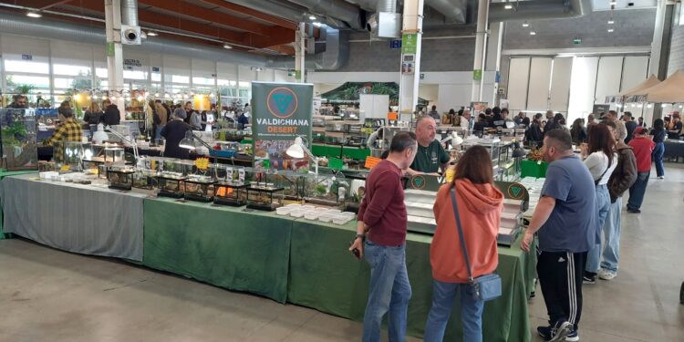 A Gonzaga migliaia di visitatori in Millenaria per Esotika Pet Show e Mondo Bonsai