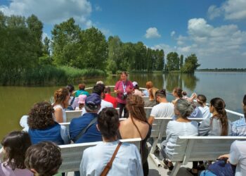 Laboratori, escursioni e navigazioni gratuite con il Bioblitz alle Grazie