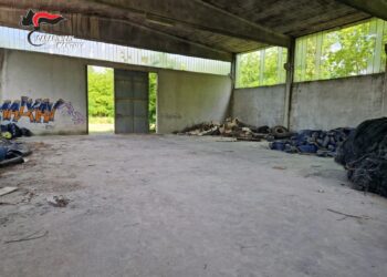 Rave party nei campi di Fontanella Grazioli: la festa finisce con 45 denunce