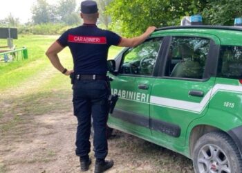Auto abbandonate lungo la strada: sanzioni dei carabinieri forestali