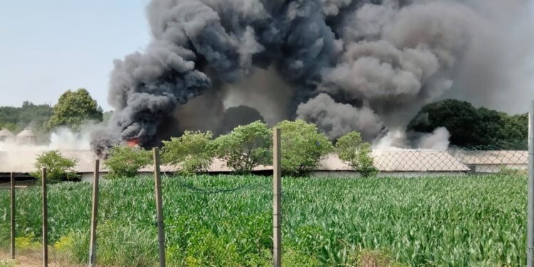 Incendio in un allevamento: gravi danni e migliaia di pulcini morti