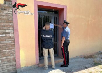 “Sono di Corleone…”: sequestrati 300mila euro al pastore