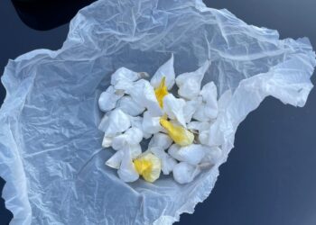 Con oltre 26 grammi di cocaina e 4 di hashish: arrestato un 32enne