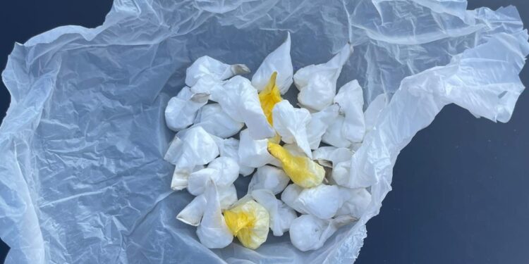 Con oltre 26 grammi di cocaina e 4 di hashish: arrestato un 32enne