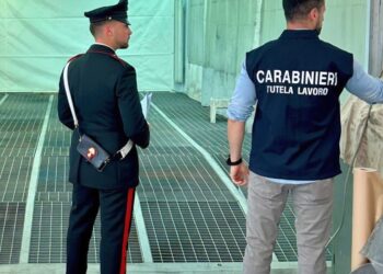 I carabinieri smantellano un cantiere con rifiuti e operai in nero