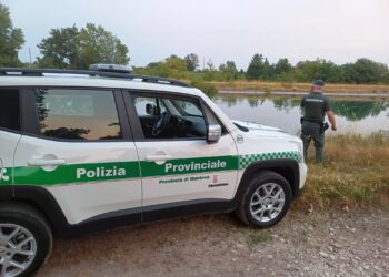 Scattano i controlli della polizia provinciale contro il bracconaggio ittico