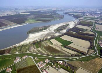 Mincio e Po: escursioni alla scoperta della biodiversità dei fiumi mantovani